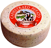 latin's gusto grossiste rungis paris fromage italie brebis Canestrato poivre entier 15 kgs