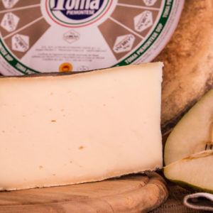 latin's gusto grossiste rungis paris Tome piemontese DOP grand 7 kgs fromage produit laitier