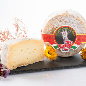 latin's gusto grossiste distributeur rungis paris caciotta chevre tome fromage italie