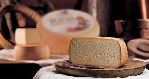 latin's gusto grossiste rungis paris gressoney tome tomme vache fromage italie